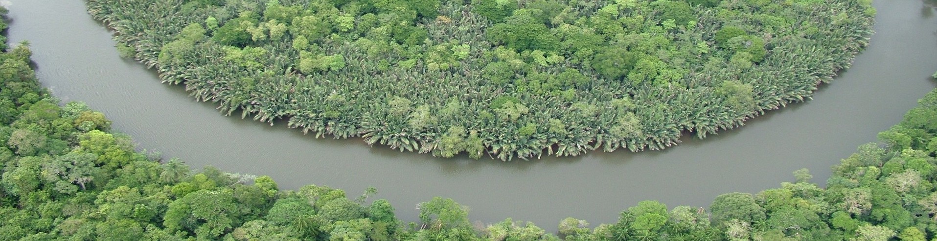 What Are Wetlands Wetlands International Malaysia