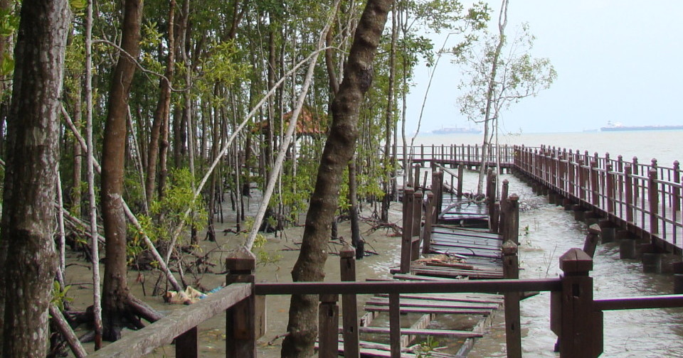 Tanjung piai national park