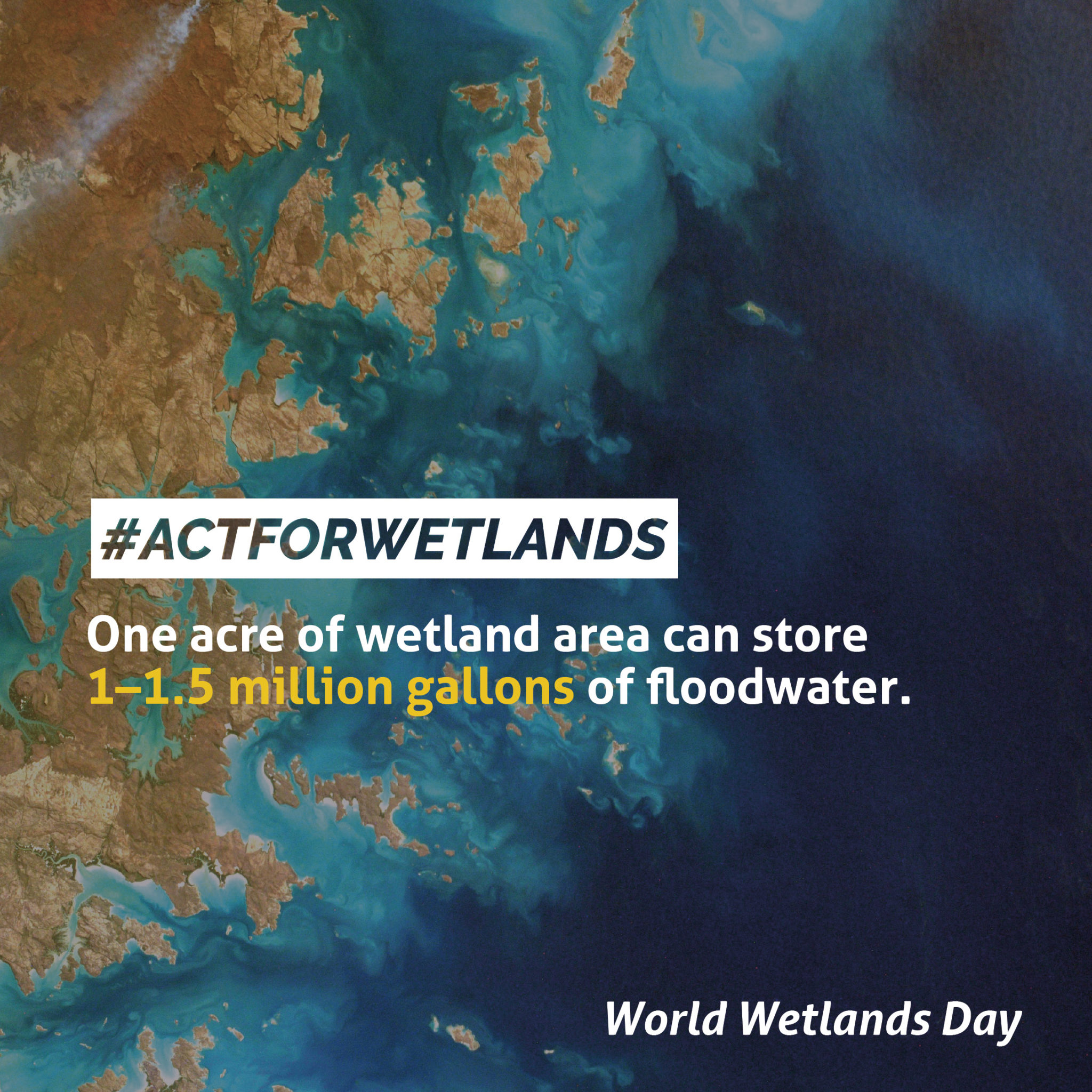 World Wetlands Day 2nd February 2022 - Wetlands International Malaysia