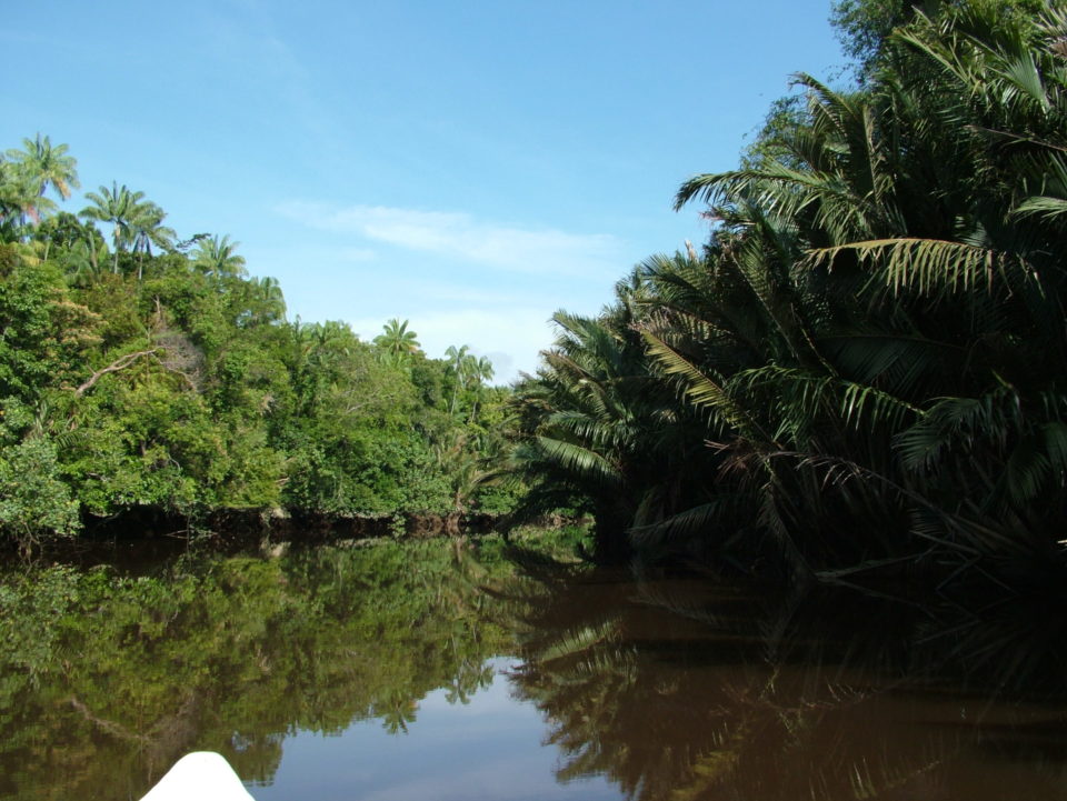 Home - Wetlands International Malaysia