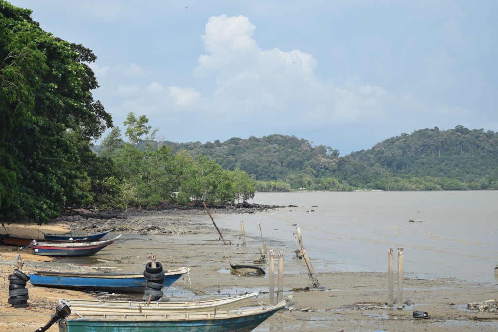 Pasir Panjang - Wetlands International Malaysia